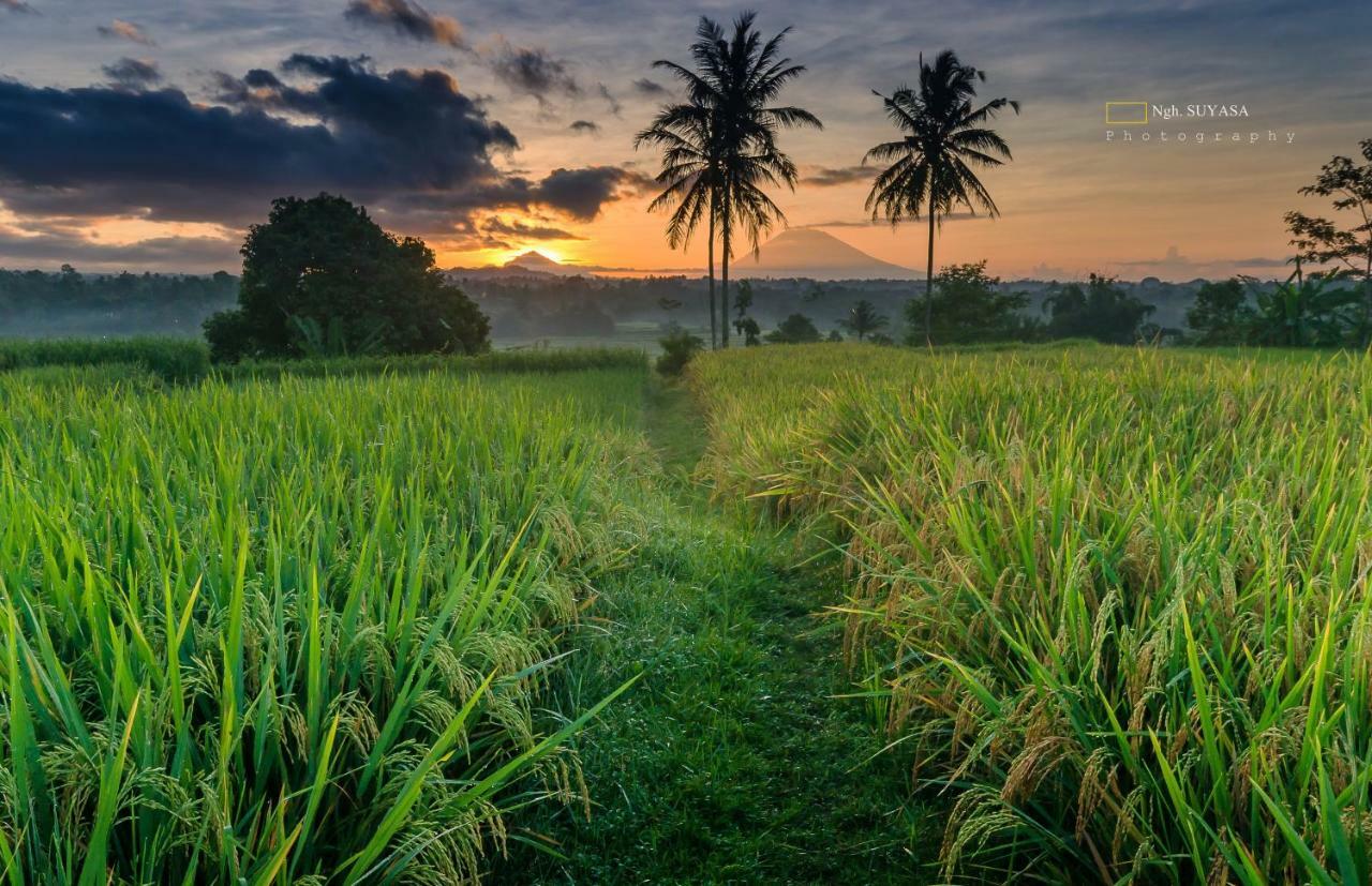 Ferienpark Ti Amo Bali 4*