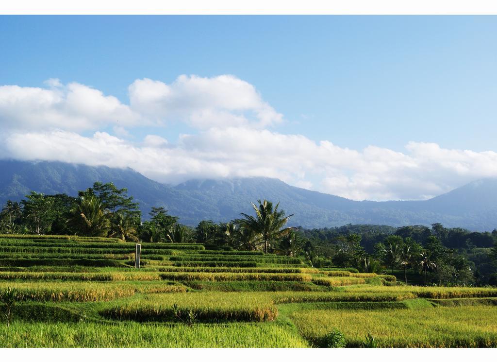 Ti Amo Bali हॉलिडे पार्क