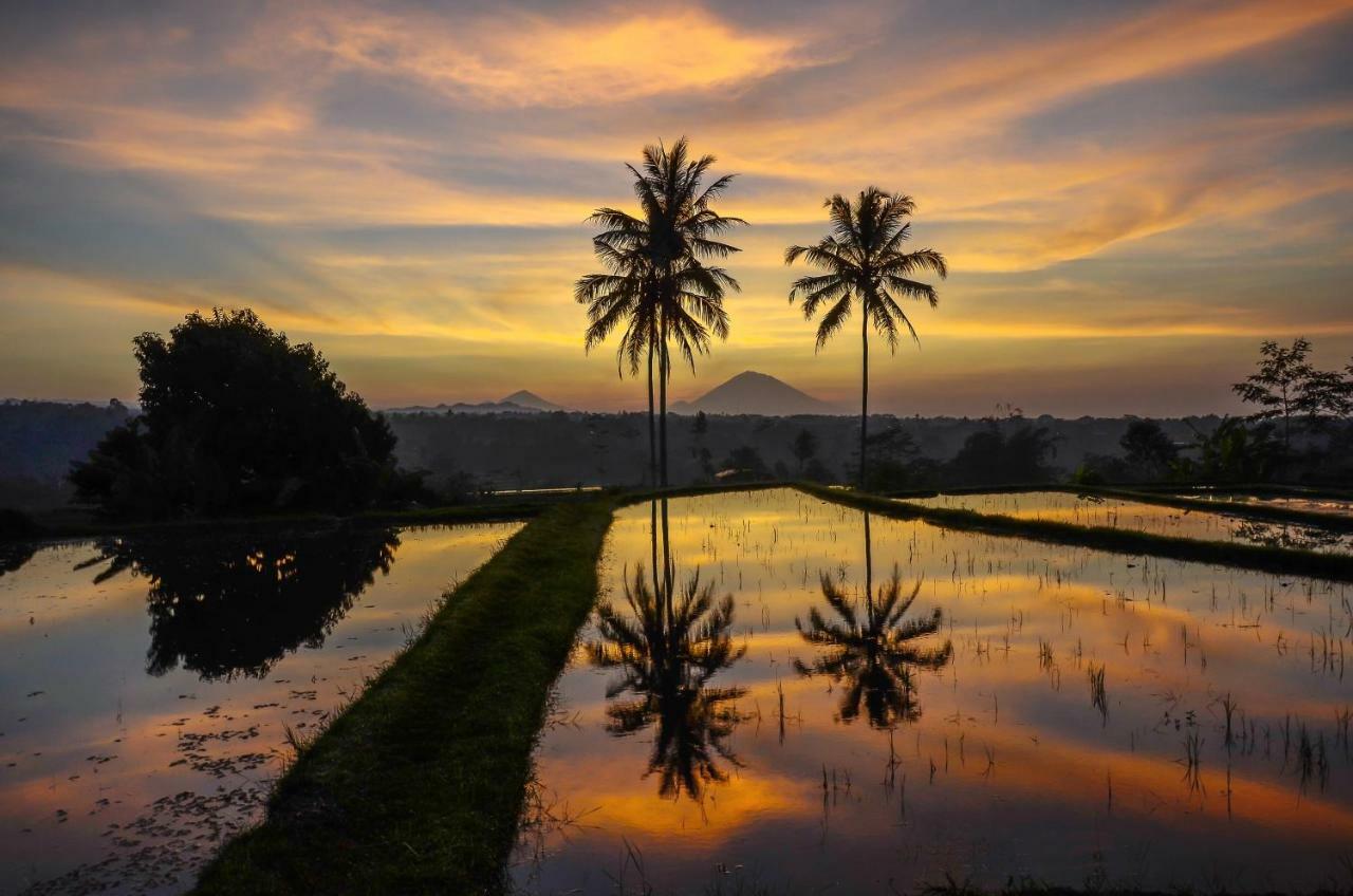 Ti Amo Bali हॉलिडे पार्क Jatiluwih